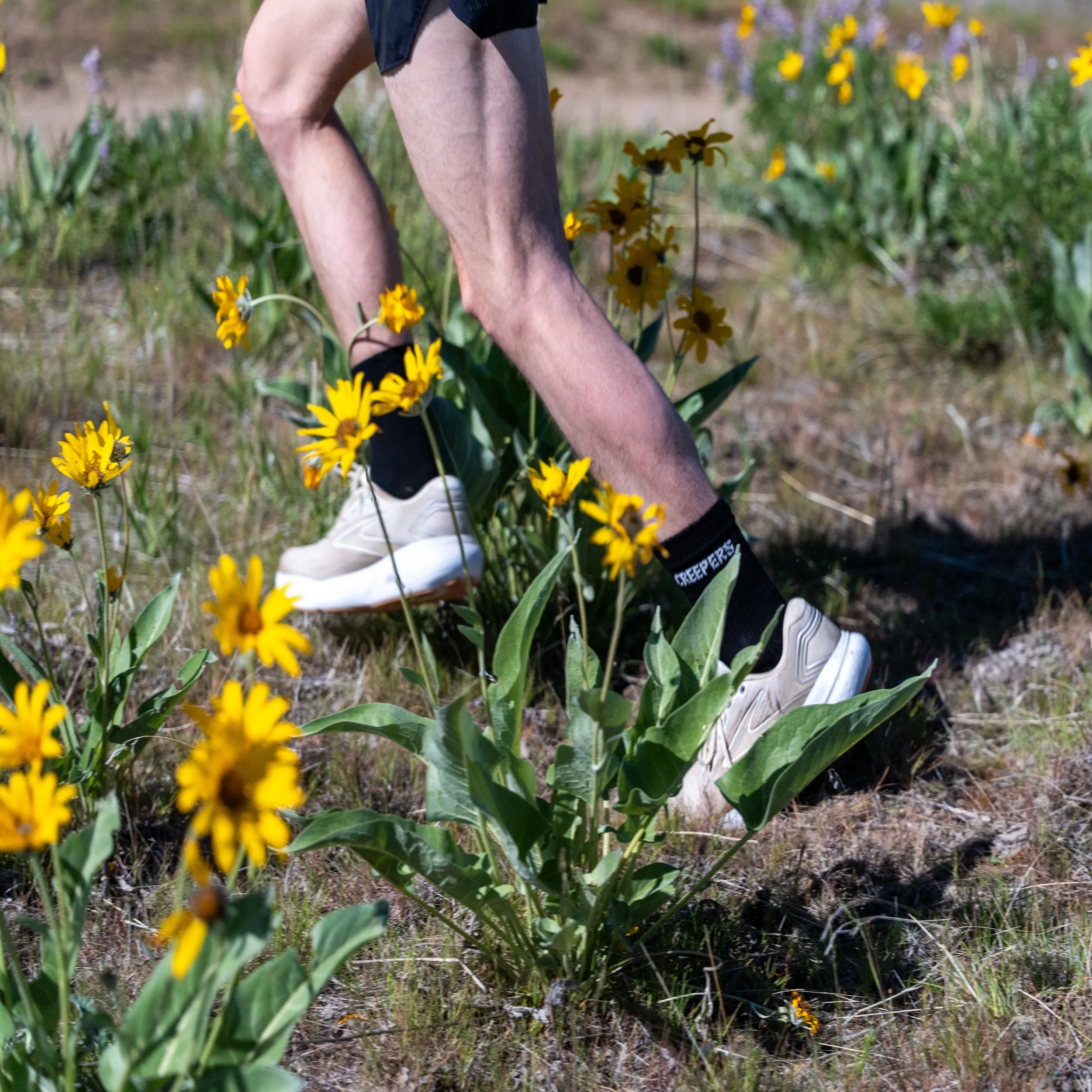 Creepers Merino Toe Socks | Quarter Crew | Black - Image 5