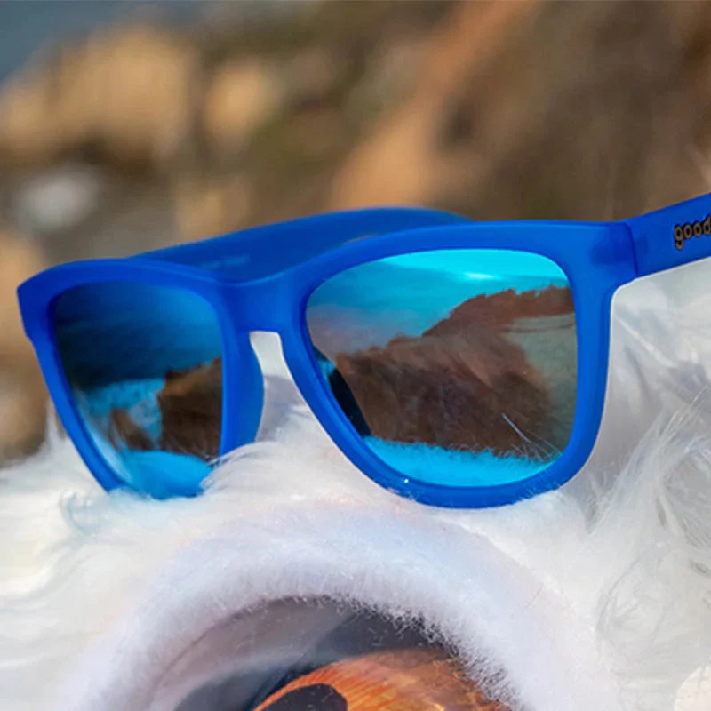 goodr Sunglasses | The OGs | Falkor's Fever Dream - Image 3