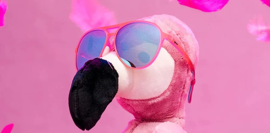 goodr Sunglasses | Mach Gs | Carl is my Co-Pilot - Image 2